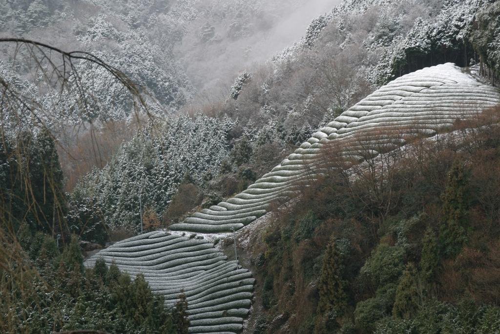 Kyoto Wazukaso Hotel Kizugawa Exterior photo